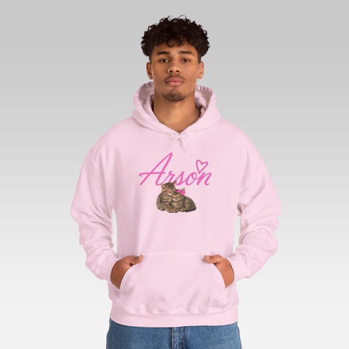 The Arson Hoodie | Pink Streetwear Pullover with Cute Cats & Ironic Dark Humor Design