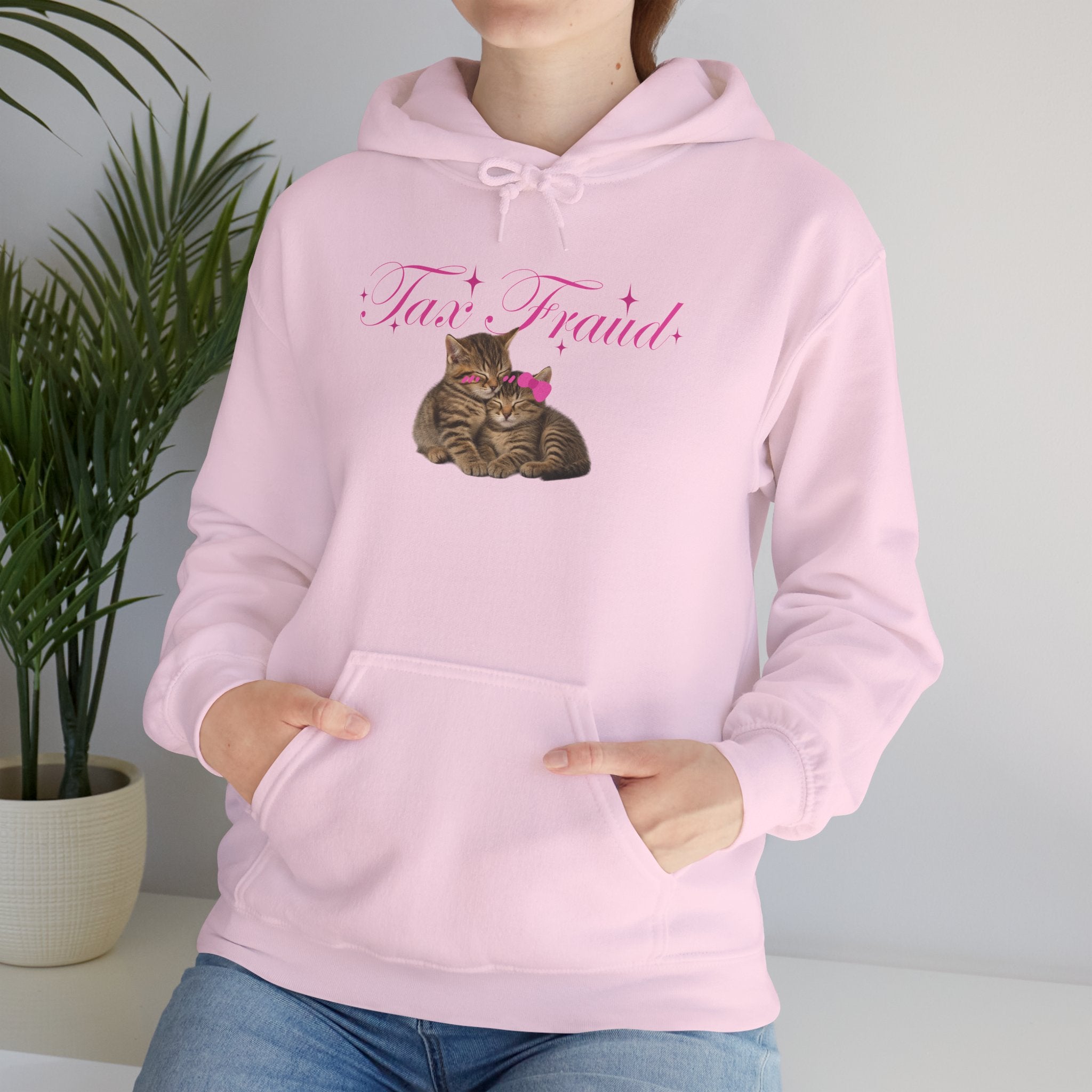 The Tax Fraud Hoodie | Pink Streetwear Pullover with Cute Cats & Ironic Chaos Aesthetic