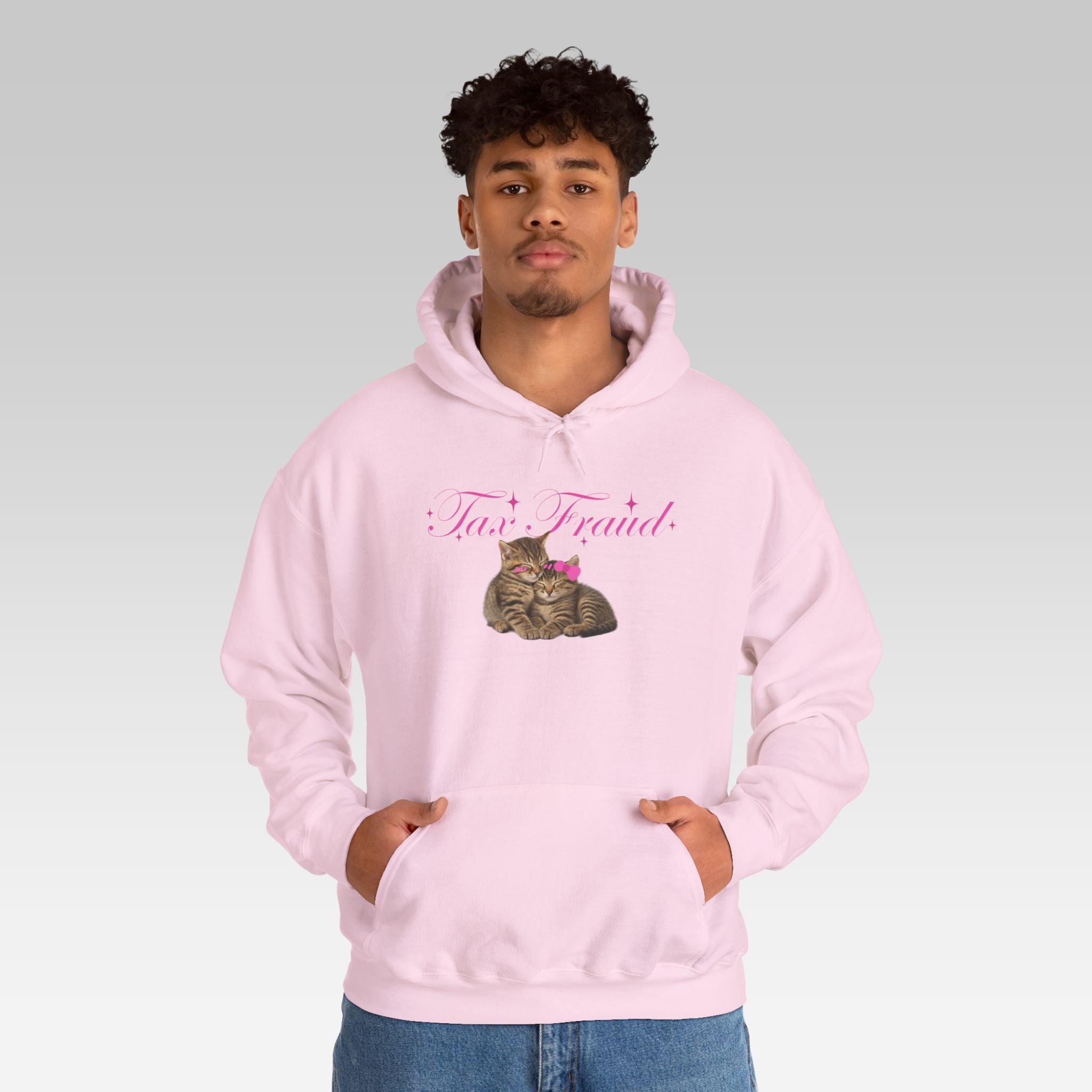 The Tax Fraud Hoodie | Pink Streetwear Pullover with Cute Cats & Ironic Chaos Aesthetic